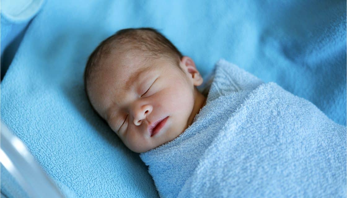 PA Probe Neonatal Application